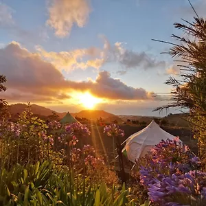 Free Canari - Los Alamos 8 Luxury tent Tegueste